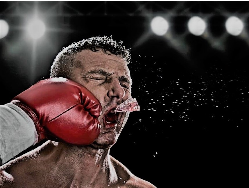How Often Do Boxers Fight